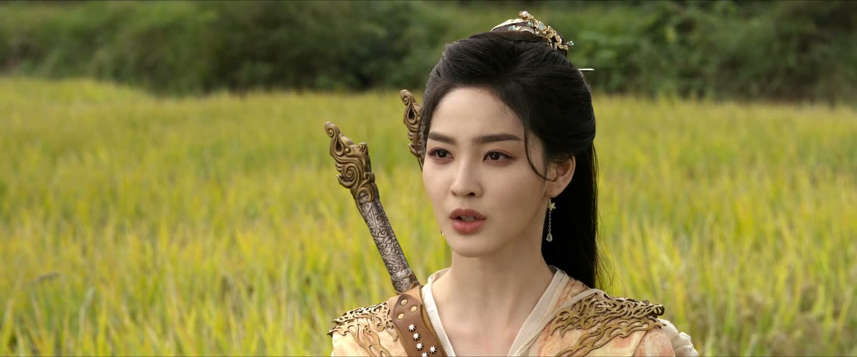 可有情就一定会强求
