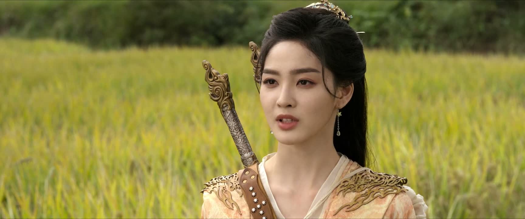 你们天音山的道是什么