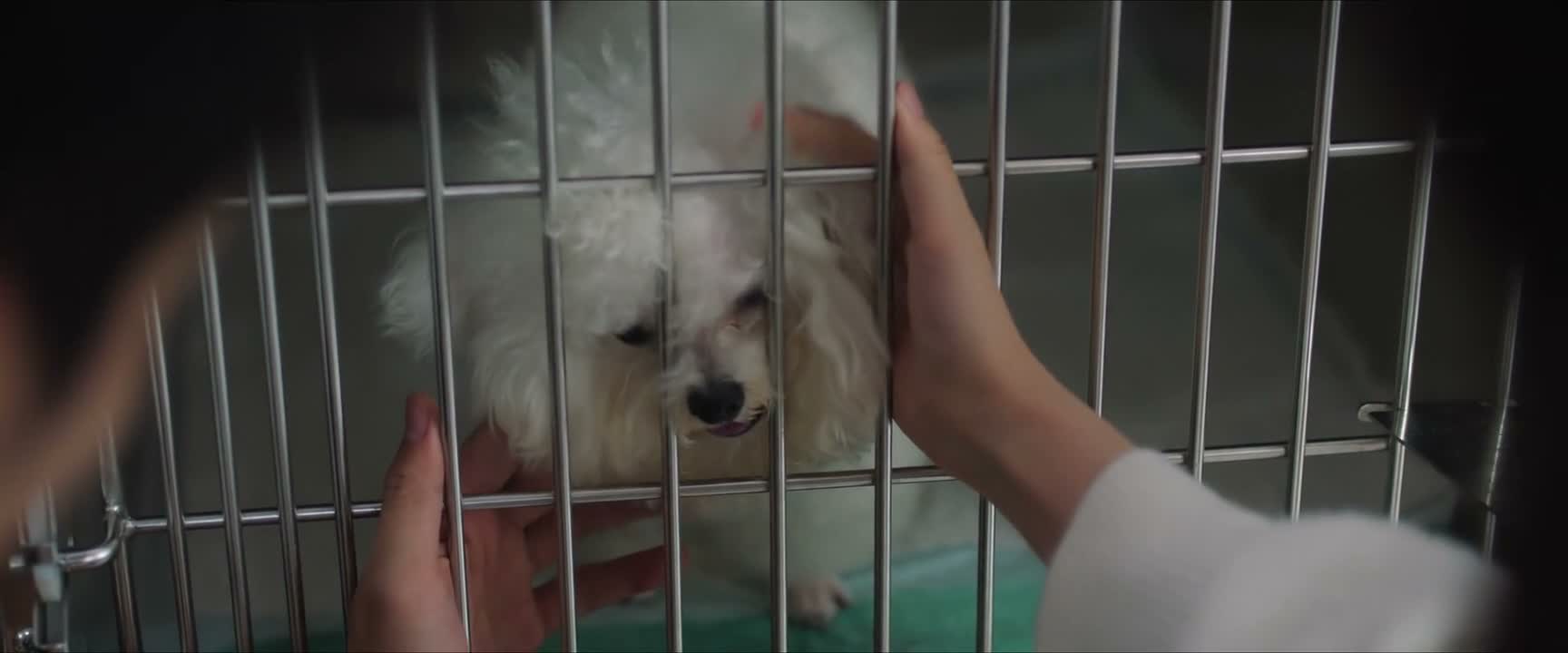 别害怕 我们在这里陪着你