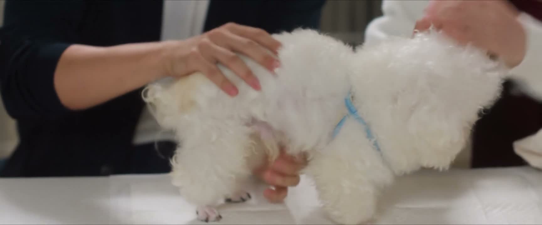 就符合一个急性胃肠炎的症状
