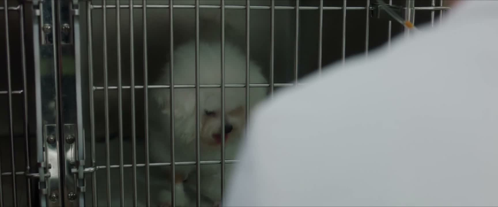 如果晚上你们实在担心的话