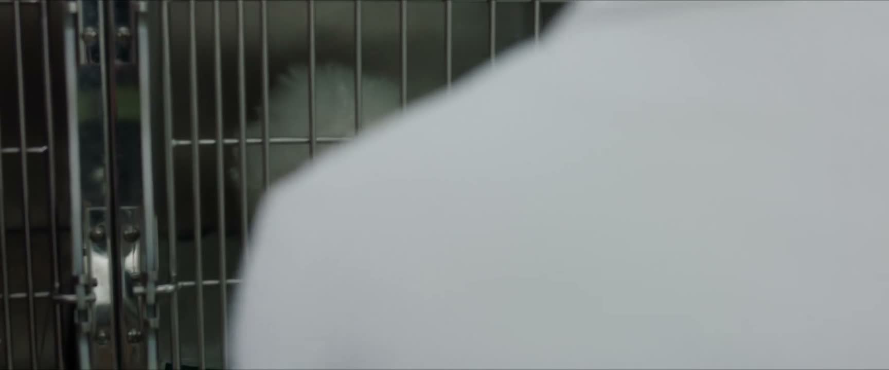 也可以在医院陪小白一起输液