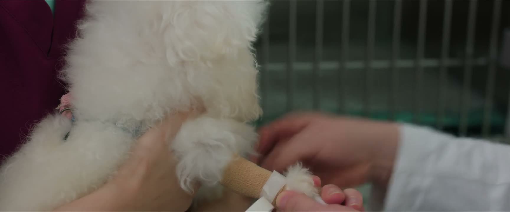 这样一来的话 小白今天晚上