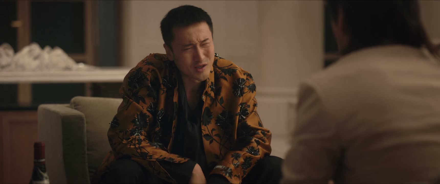 不是 老叶是什么人哪