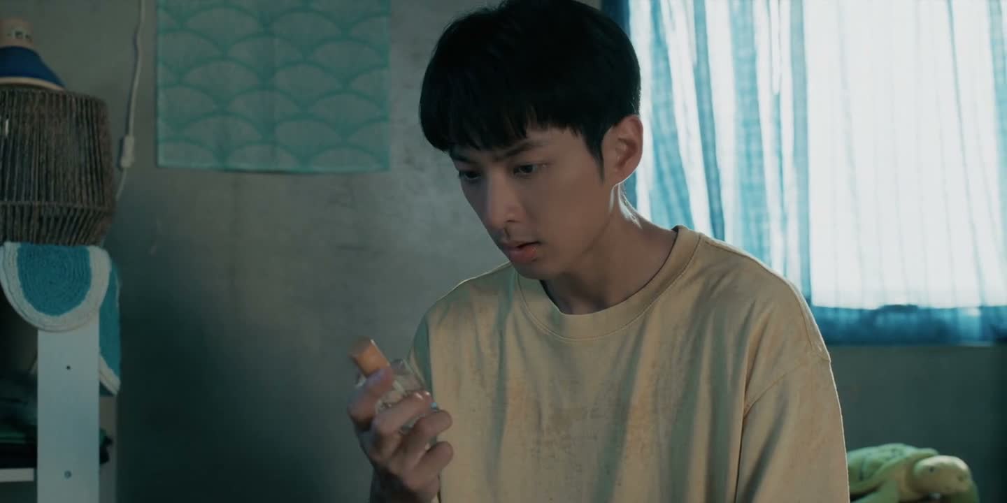 现在去码头还来得及啦