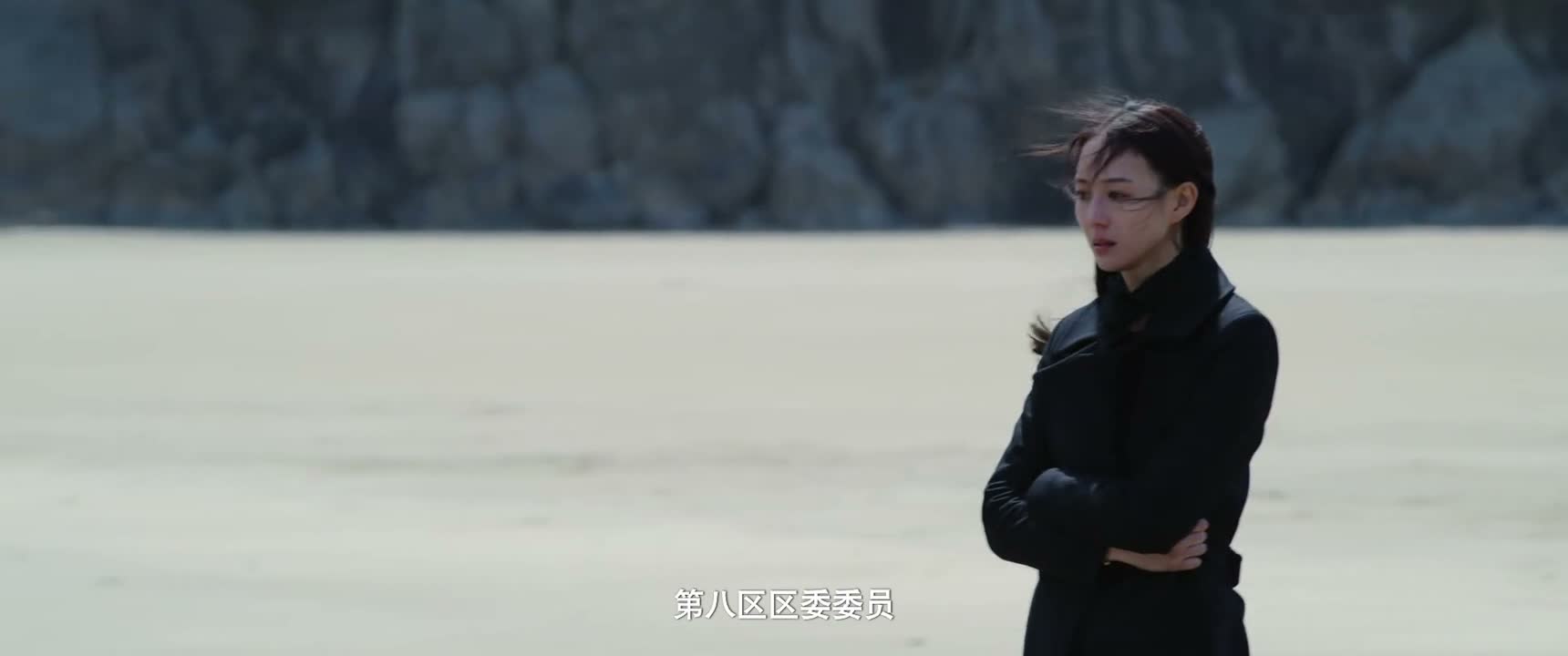 第八区区委委员