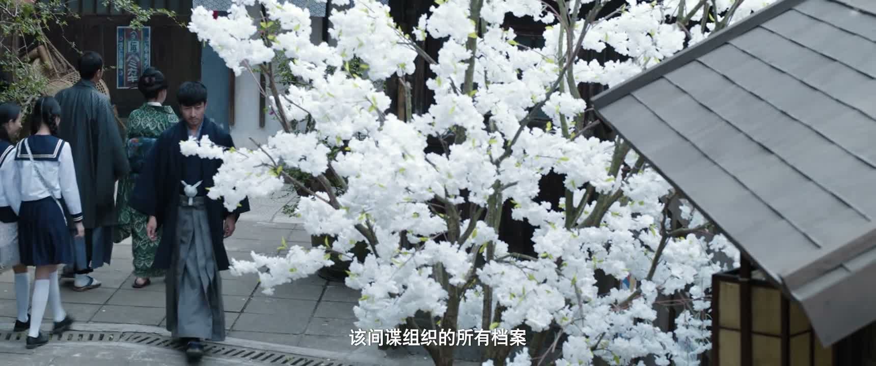 该间谍组织的所有档案