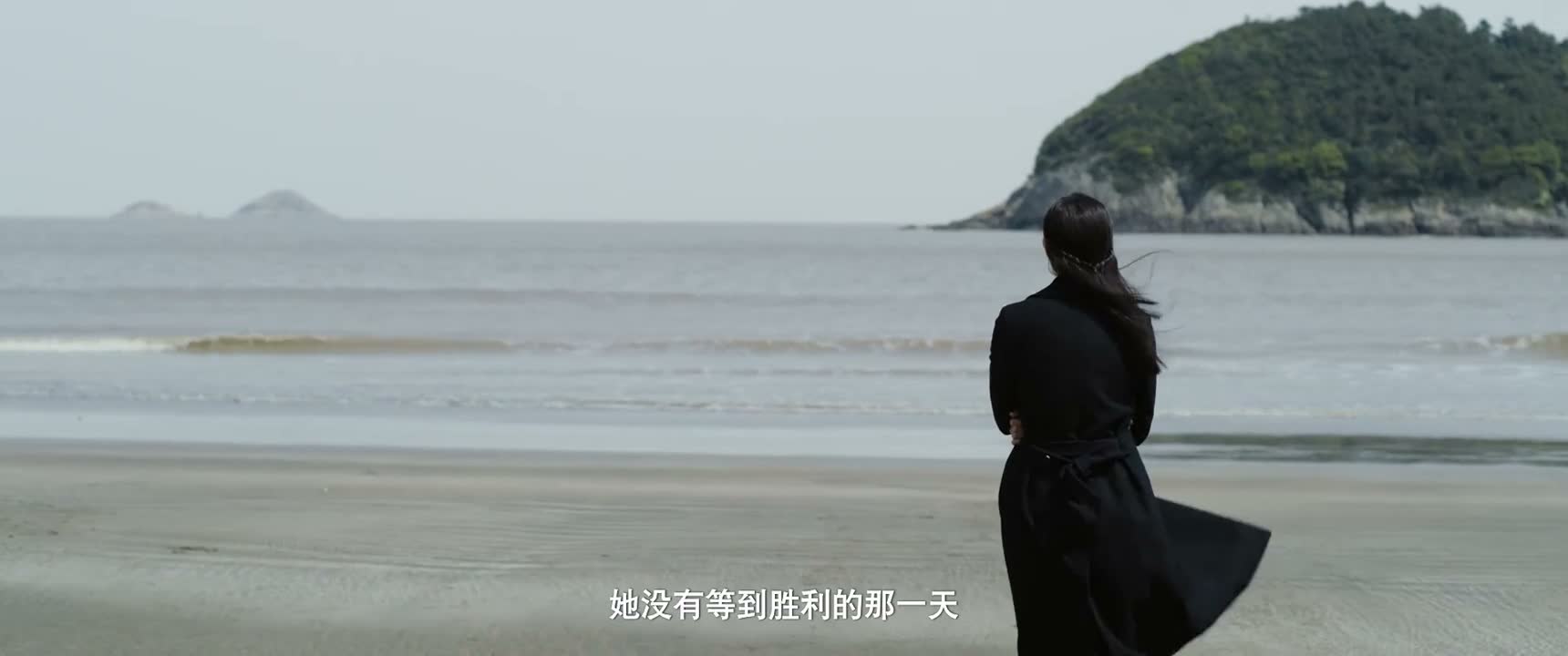 她没有等到胜利的那一天