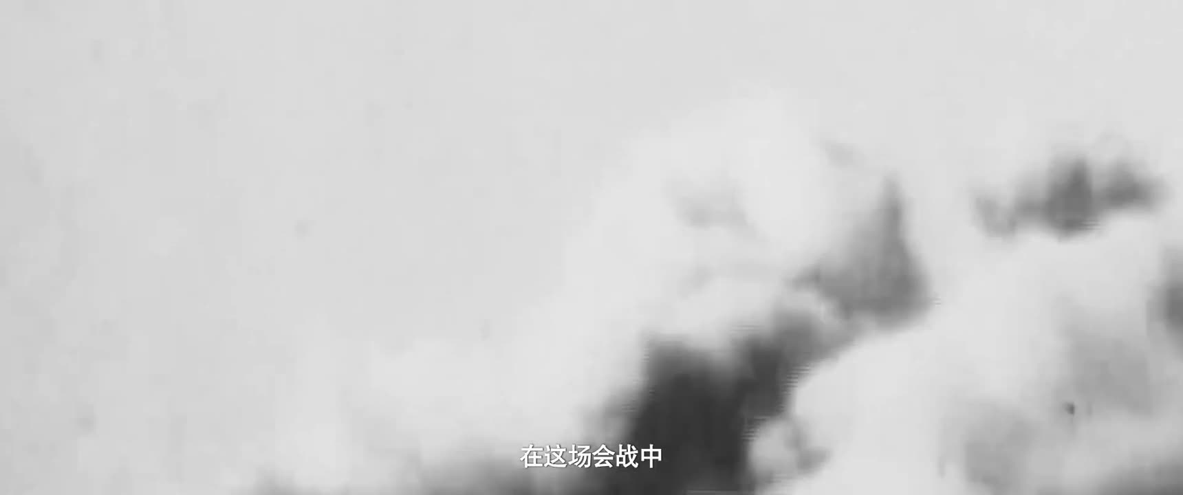 在这场会战中