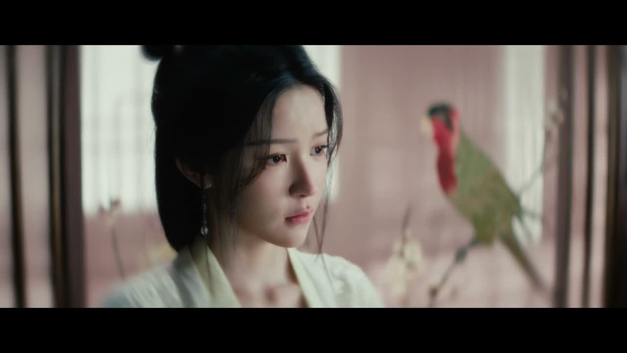 如果不是那个符咒在搞鬼