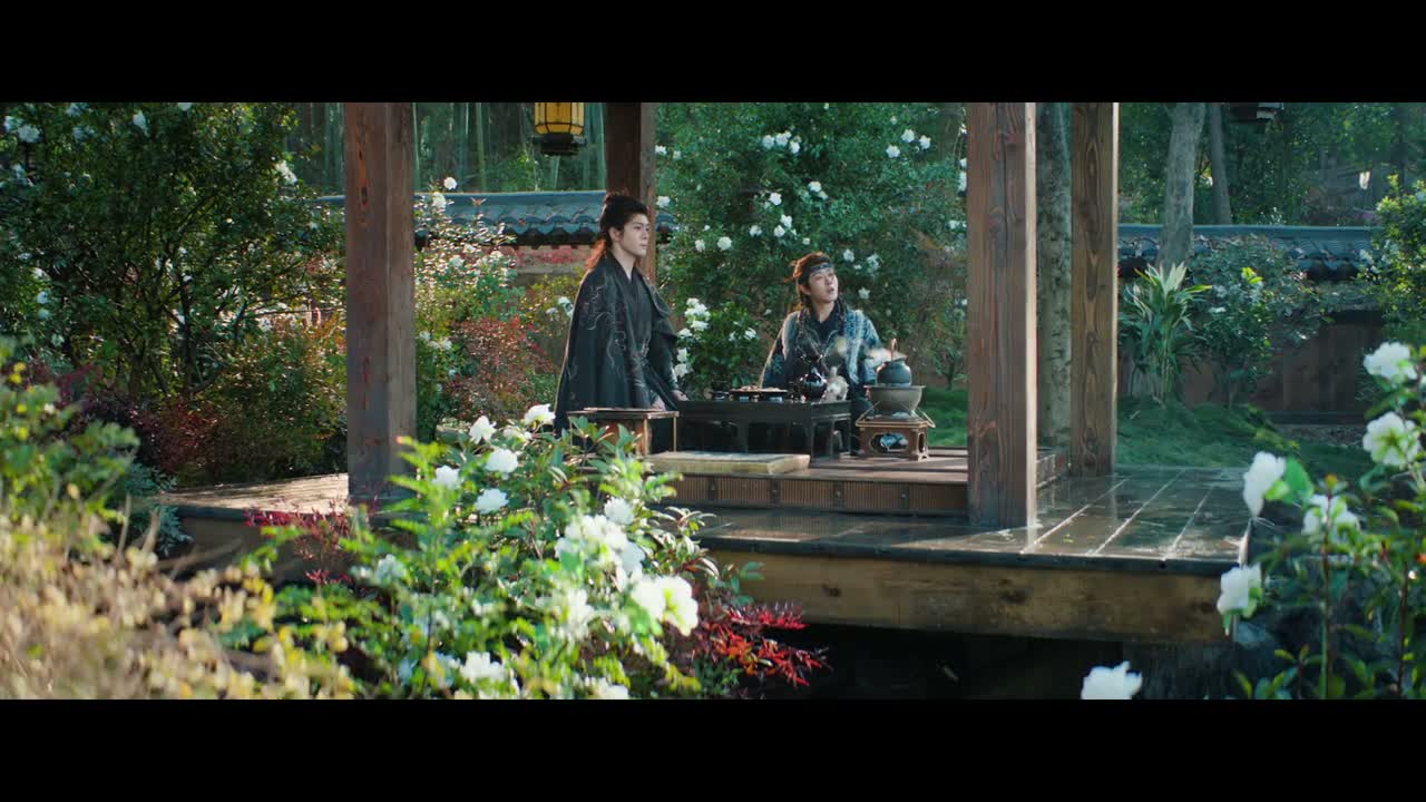 我呢 不懂爱 也不懂恨