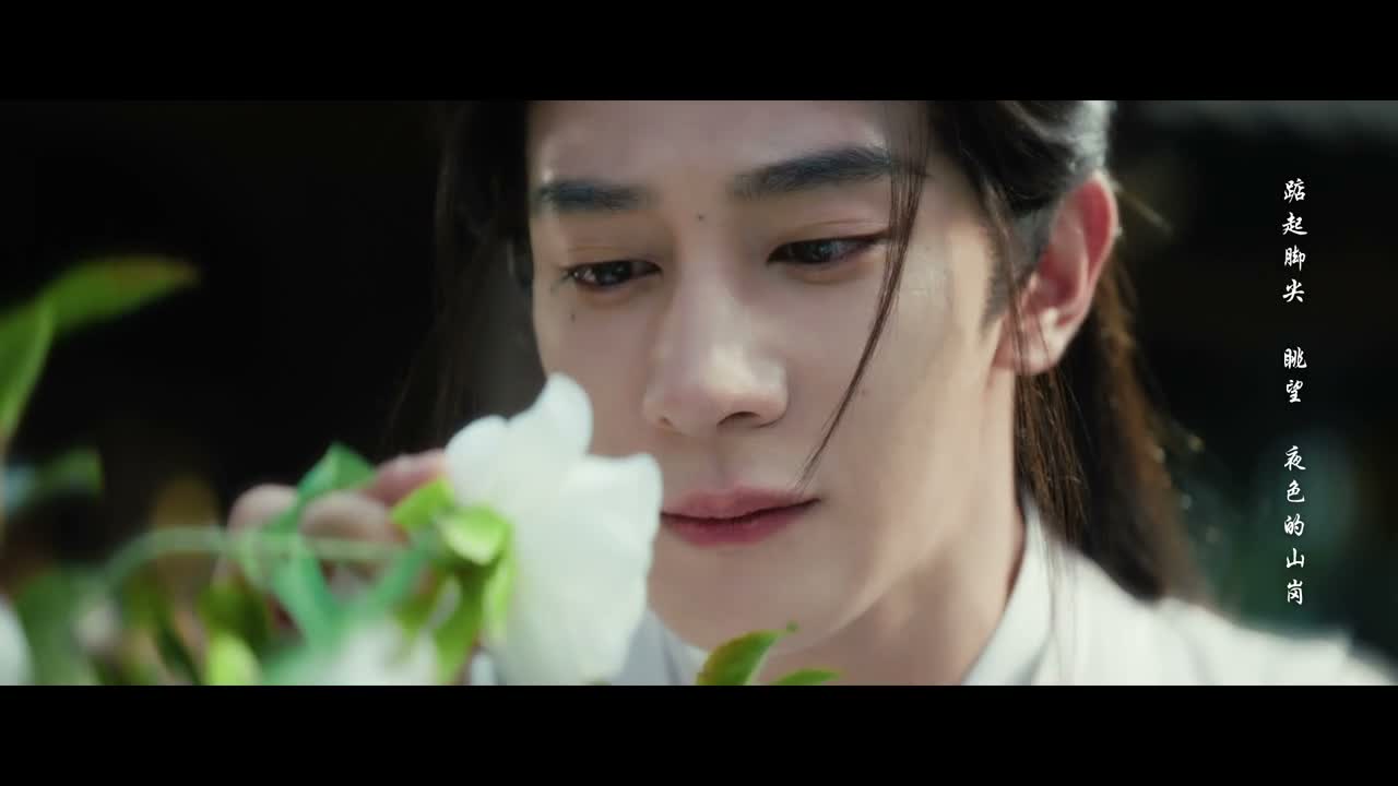 我闻过春花秋草