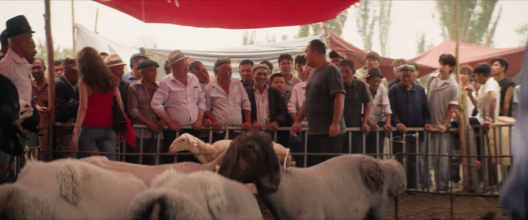 真不容易啊 救过来了