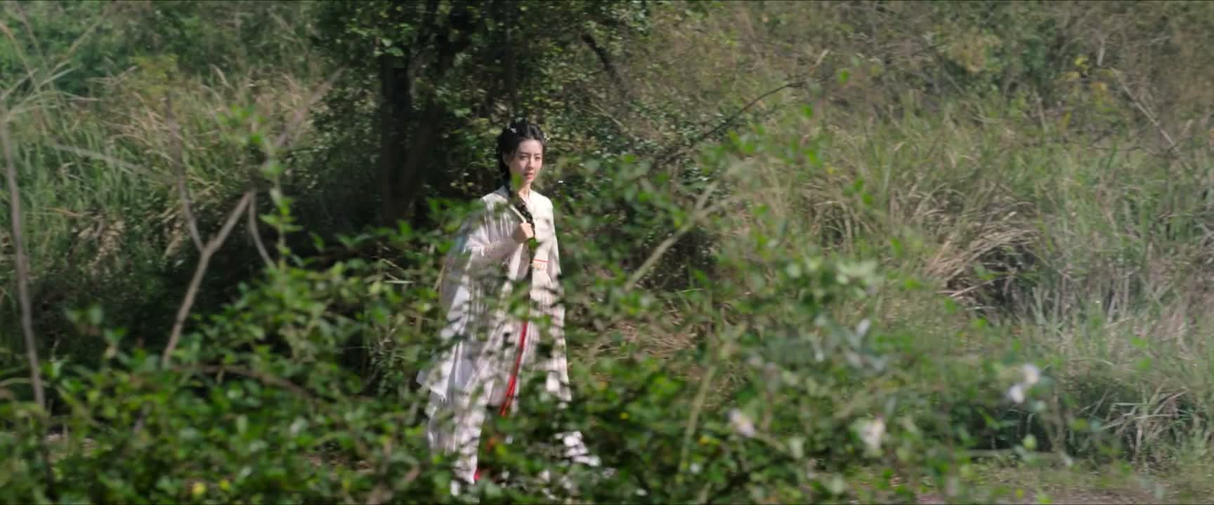 崇灵谷的不朽丹就要出炉了