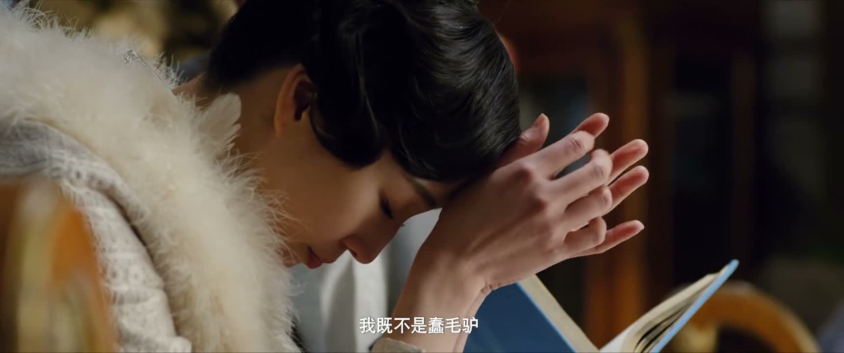 我既不是蠢毛驴