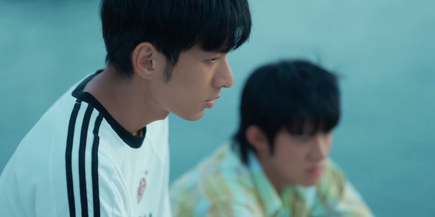 都是那个烂流星