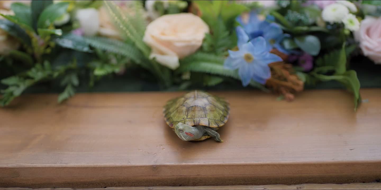这世道多荒唐