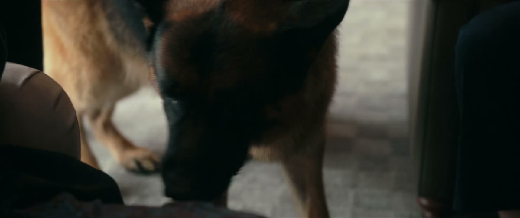我这 骂狗呢 荣哥
