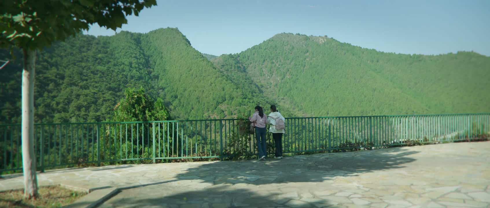 好高啊 你看看