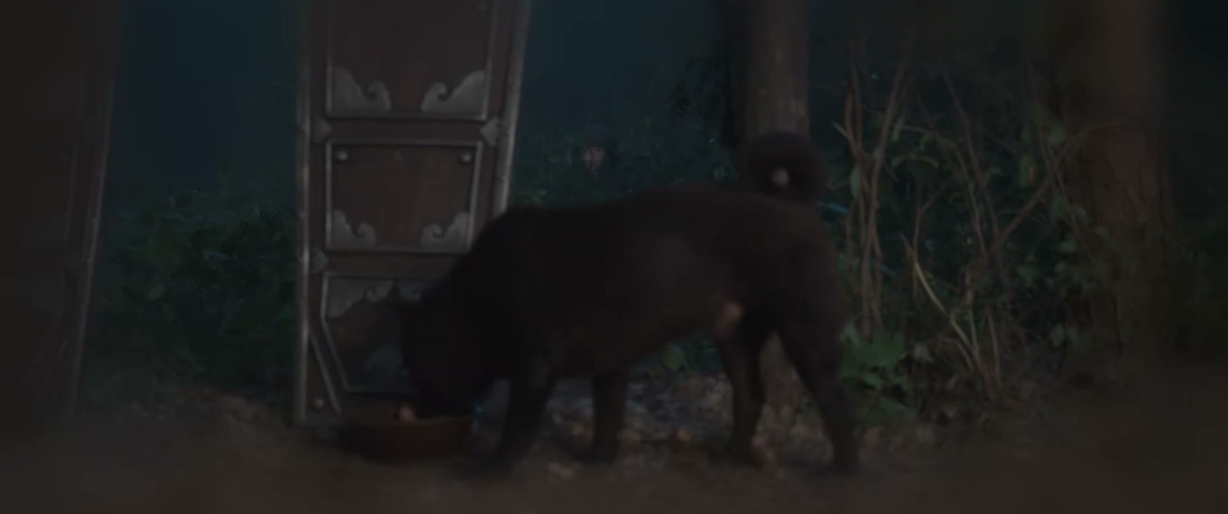 我从小在边境猎场长大