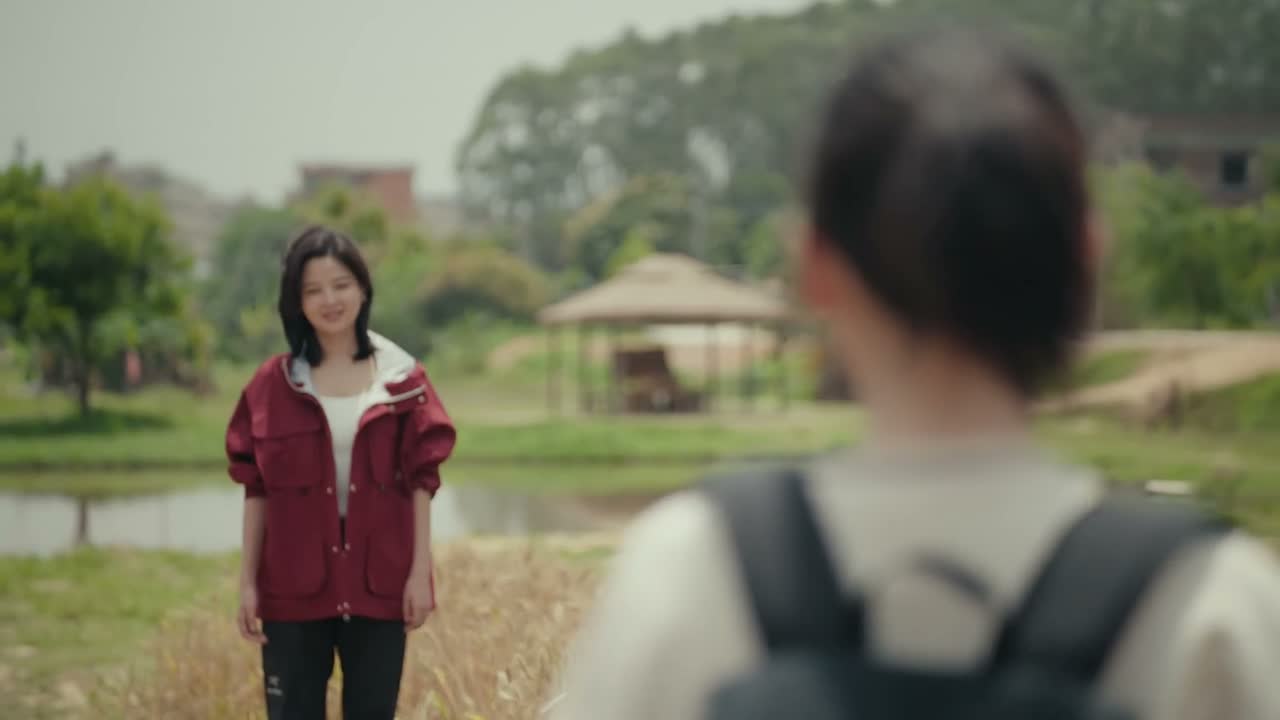 那盘根错节的根