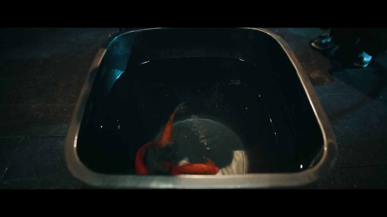世子 属下有一事不明