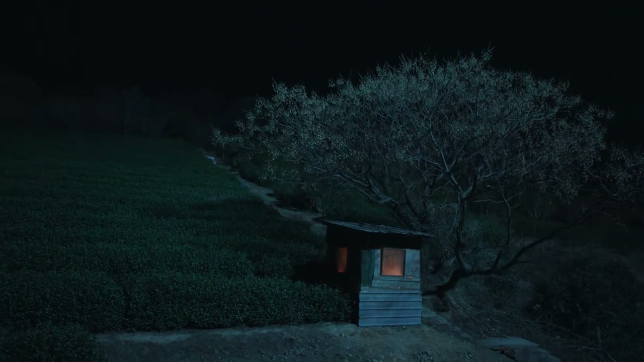 这一看就是看茶人的地方