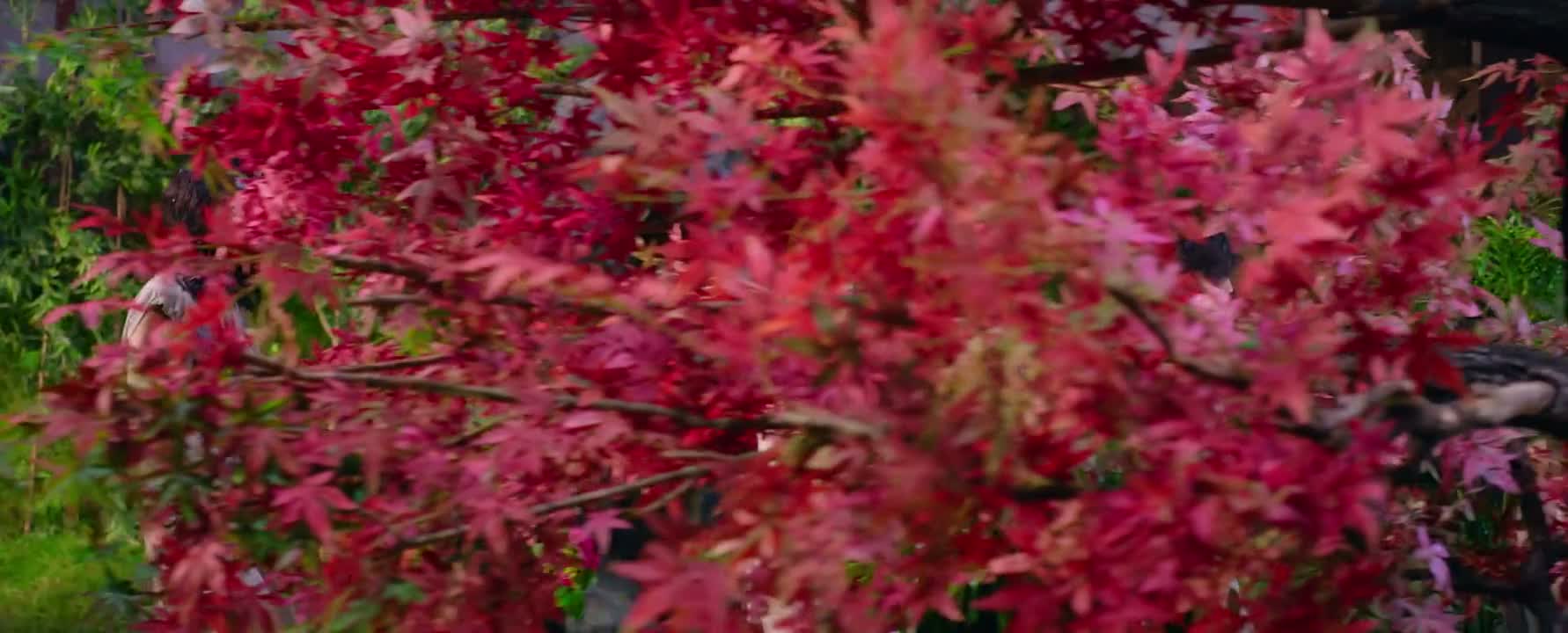 也没人帮咱指个路
