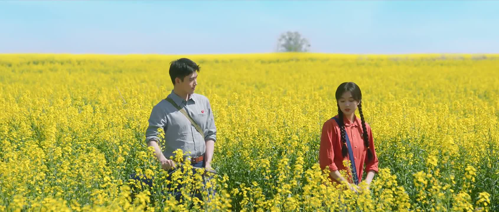 为什么那么想要房子啊