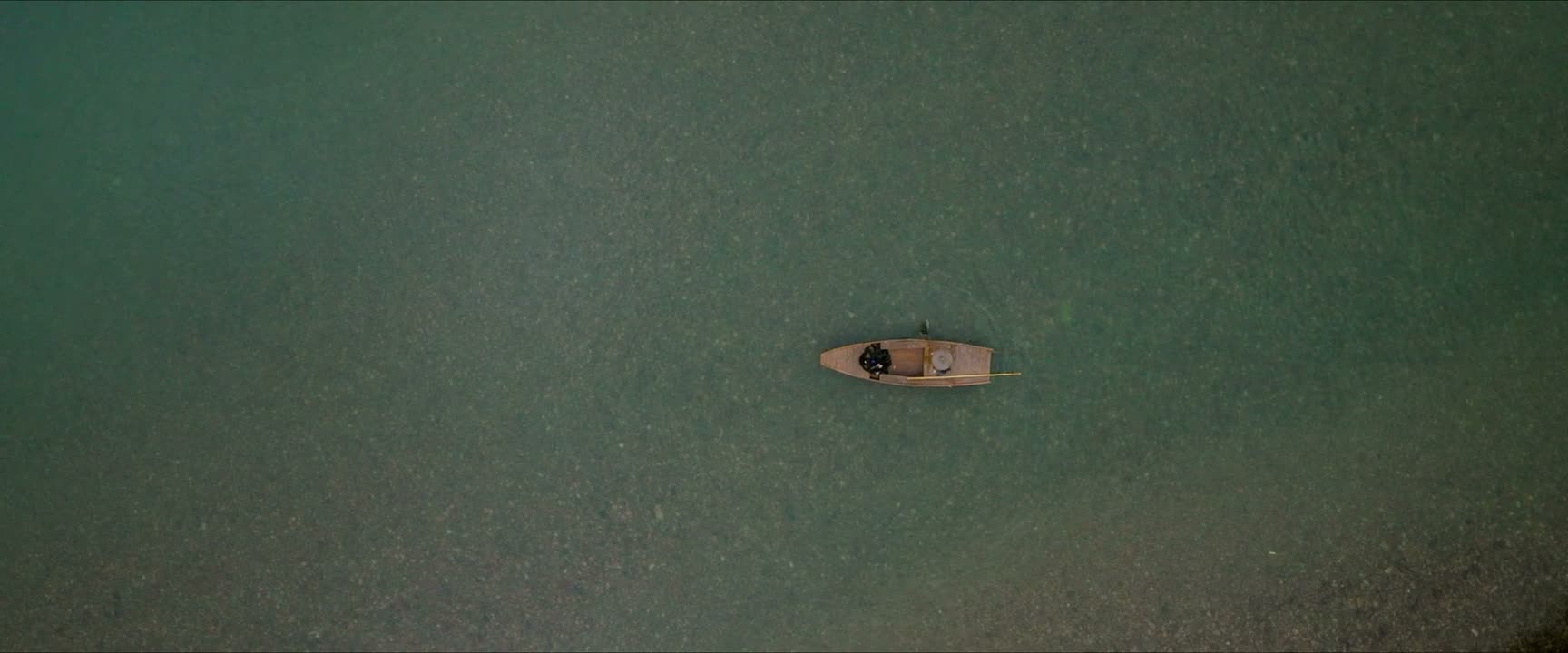 哪管拂衣各沉浮
