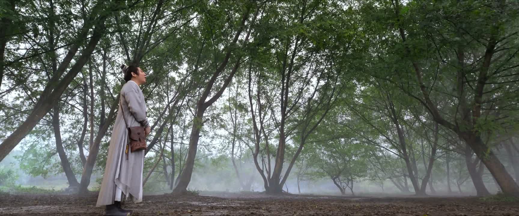 几位可是要去崇灵谷啊