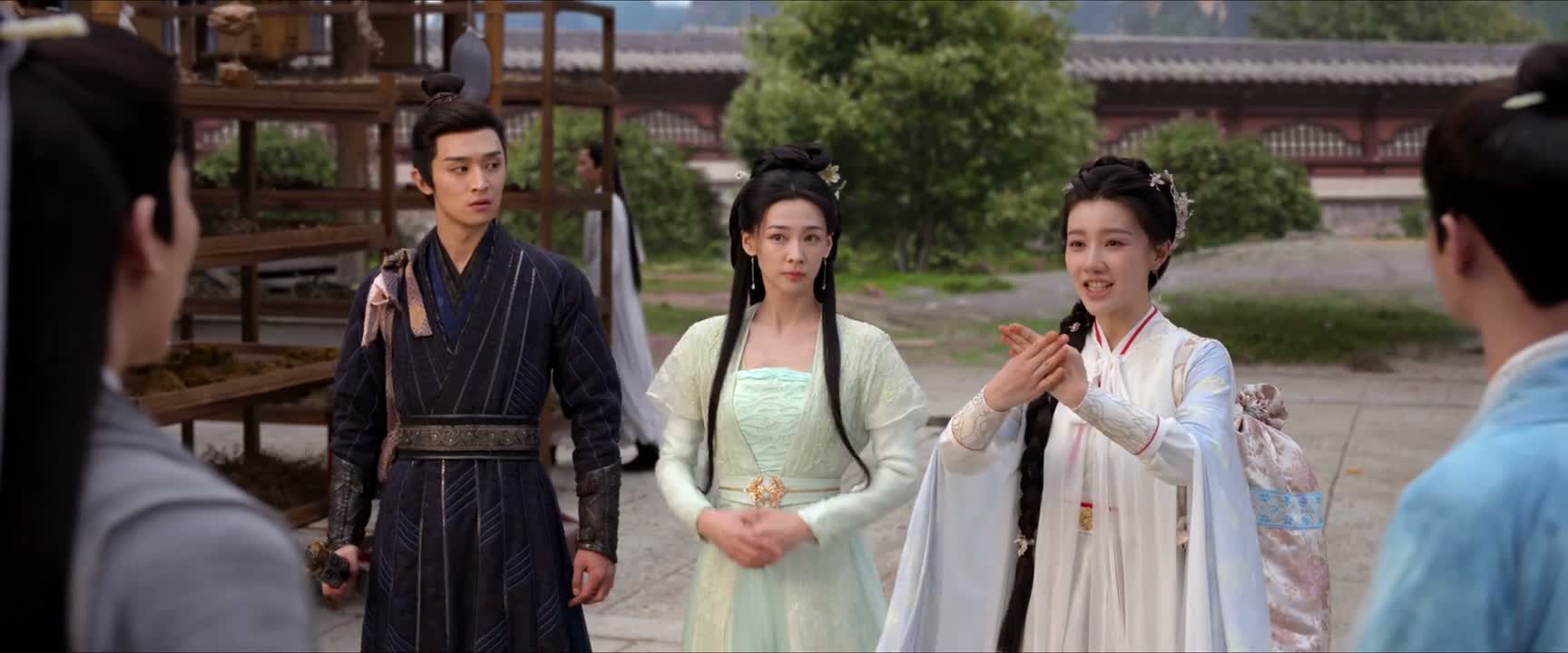 家师辛雄 我叫辛湄