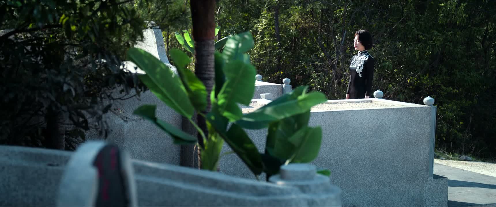 这个墓地是我特意选的