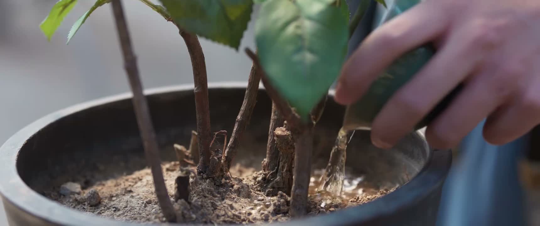 似乎隐藏着许多陈年往事
