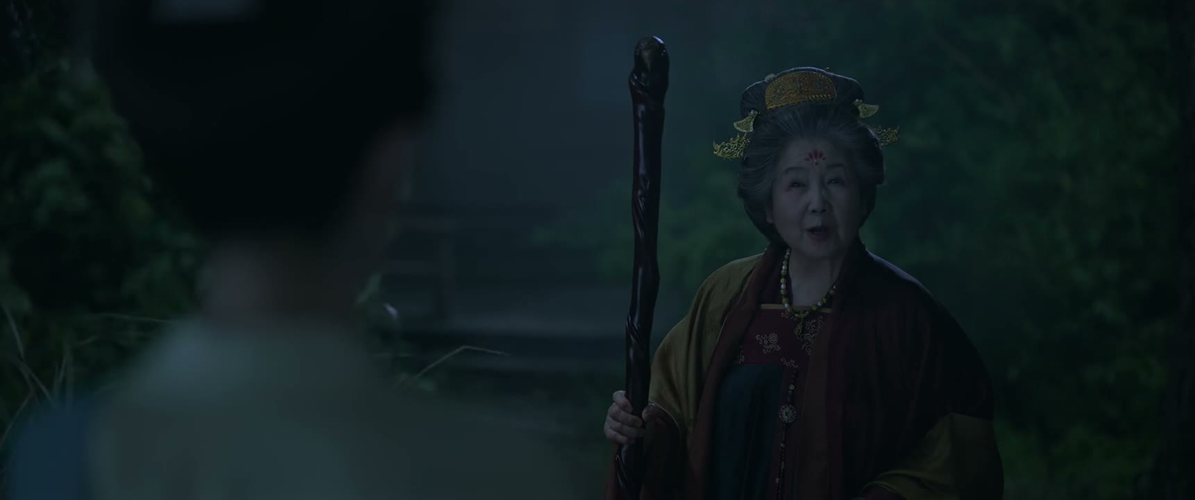 是来祸害我们叶家的