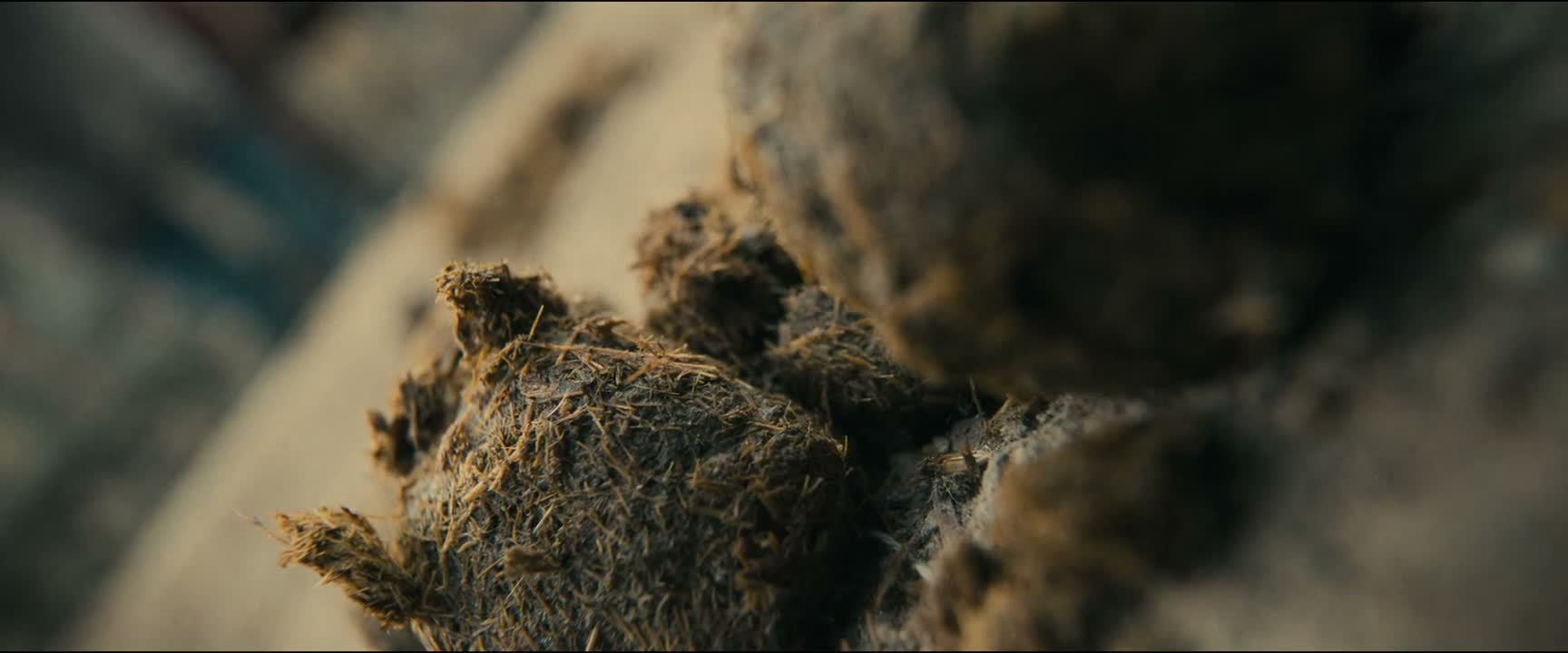 还是第一次从这个角度看呢