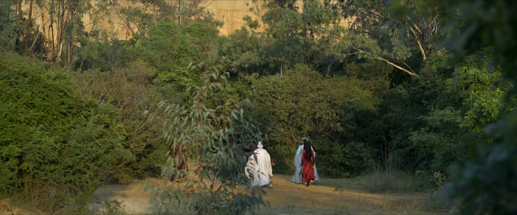 两个金丹 四个元婴