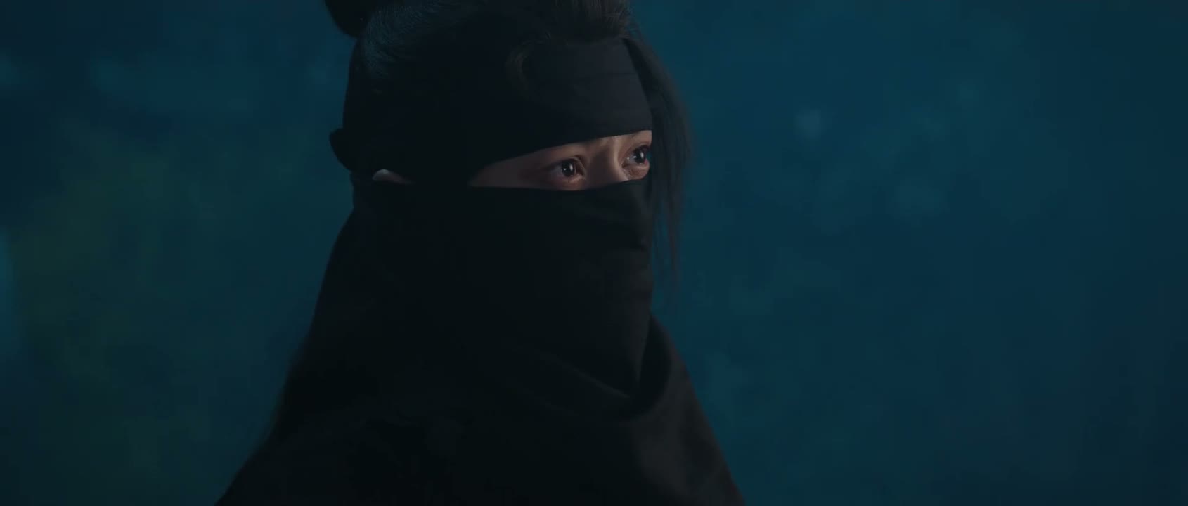 聂恒城及其党羽窃权三代