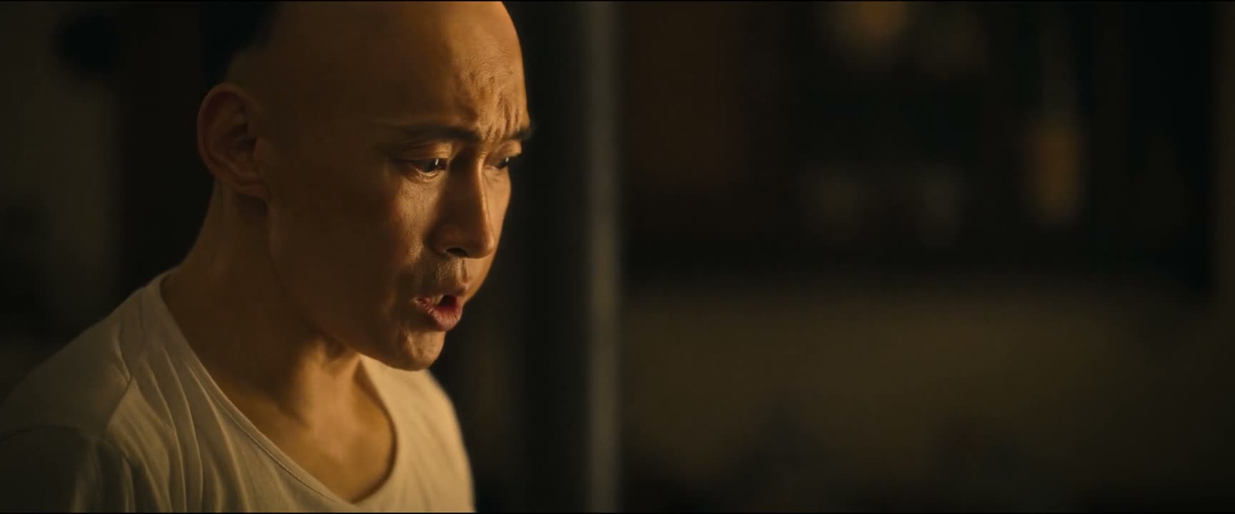 我 我一时情急 我就把这《庐山记》