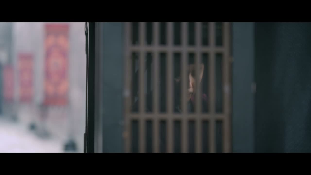 不如就别回了
