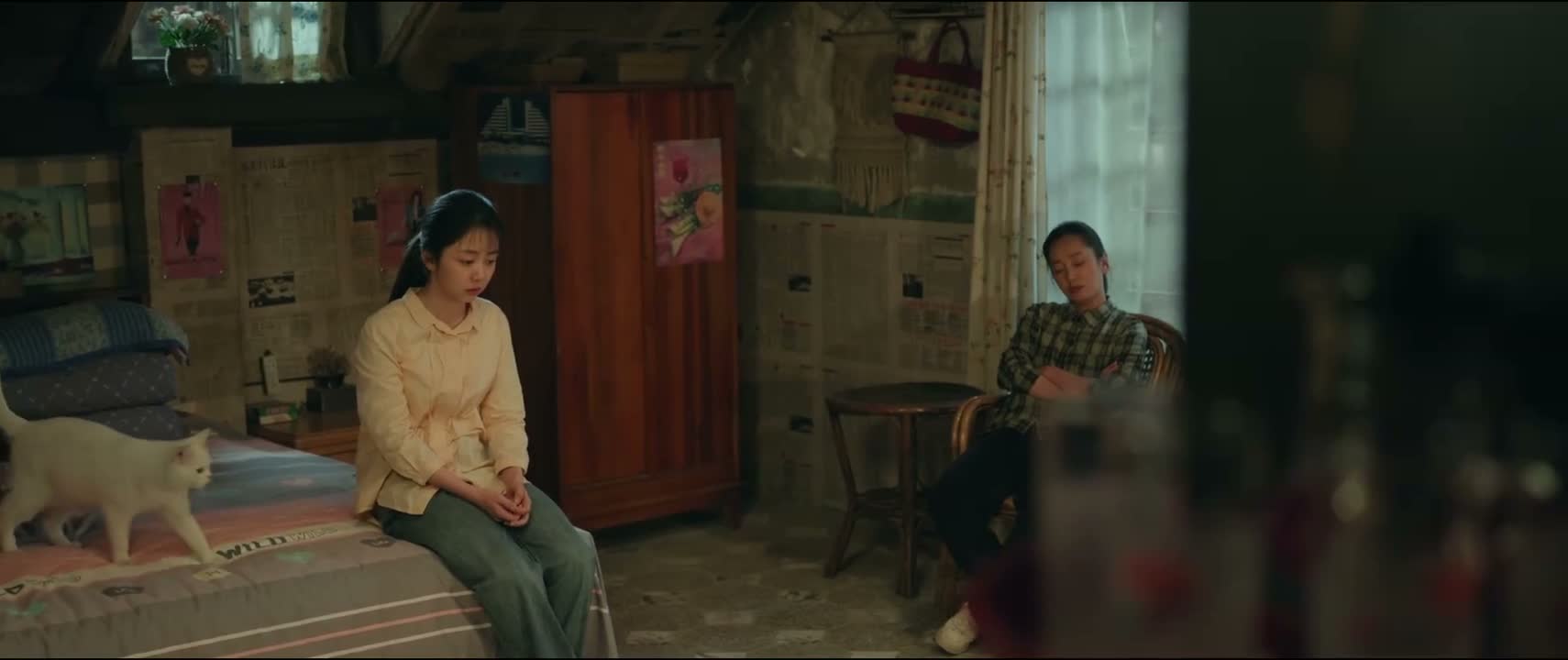 我也能看得出来