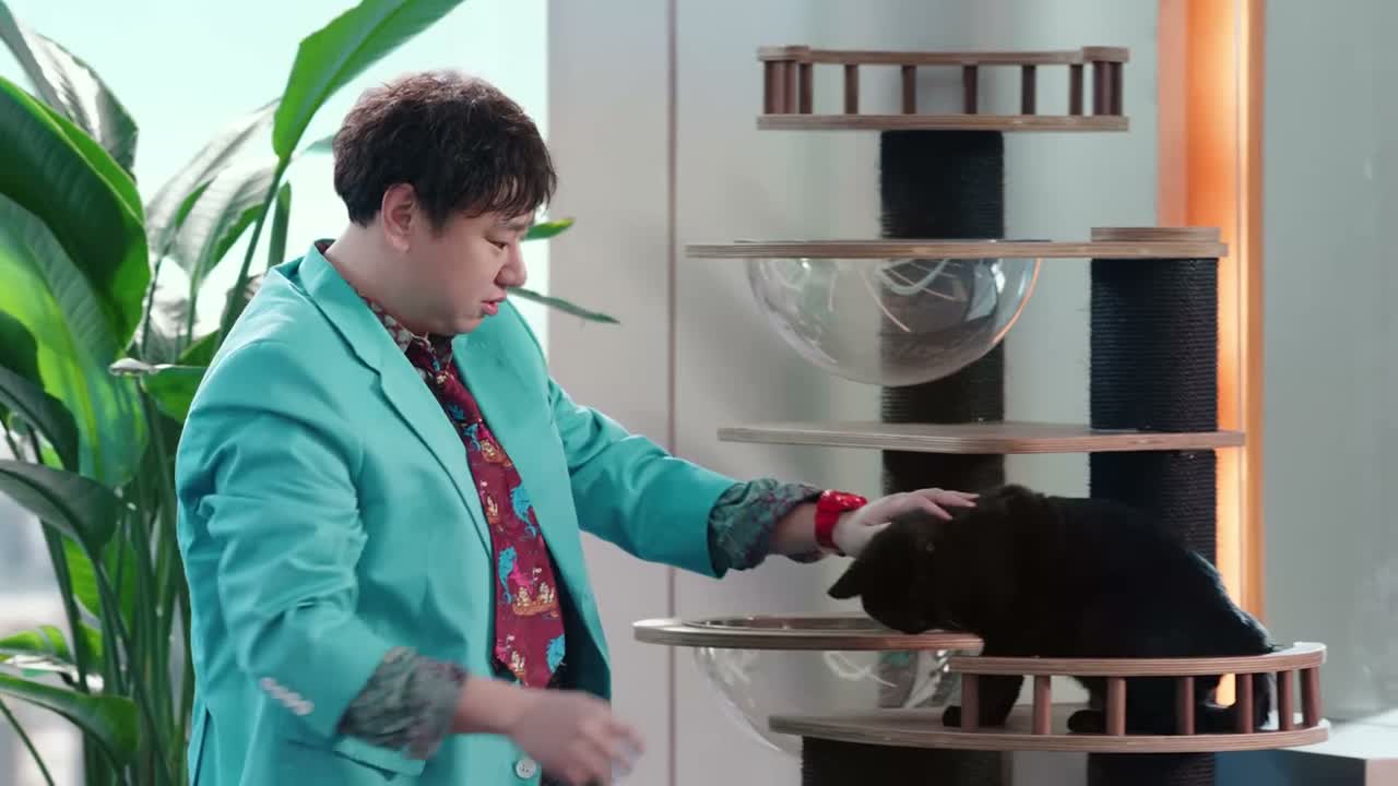都说招财猫 猫招财呀 你怎么搞个黑的了