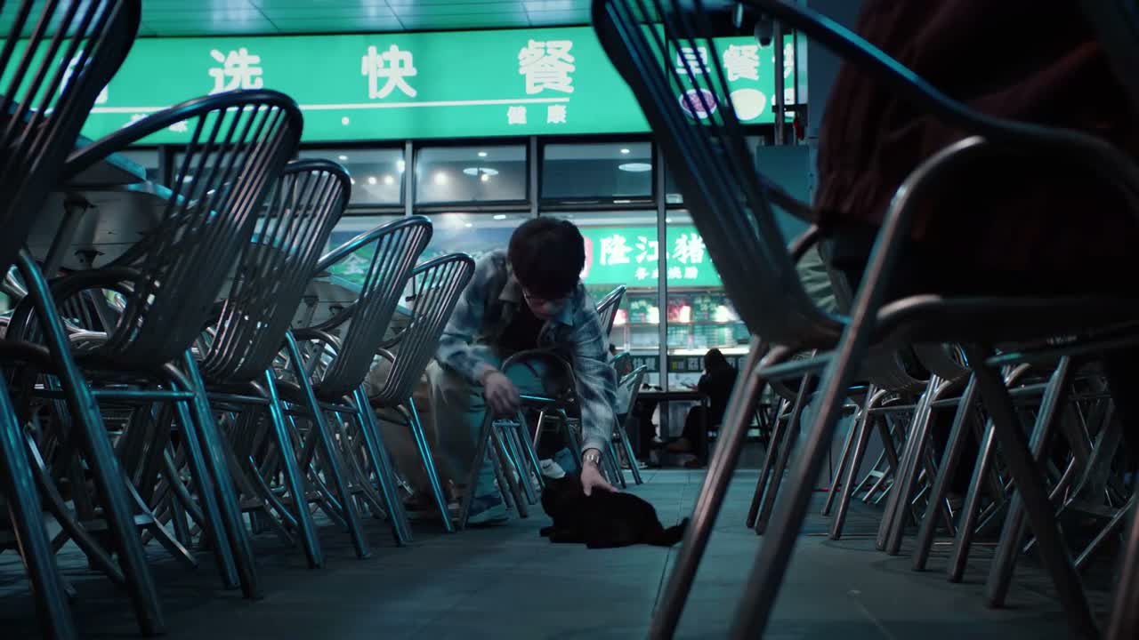 小黑 你这么可怜
