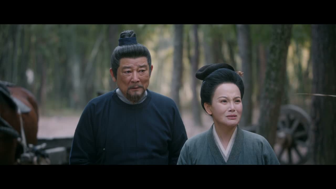就请不要再怪我们了