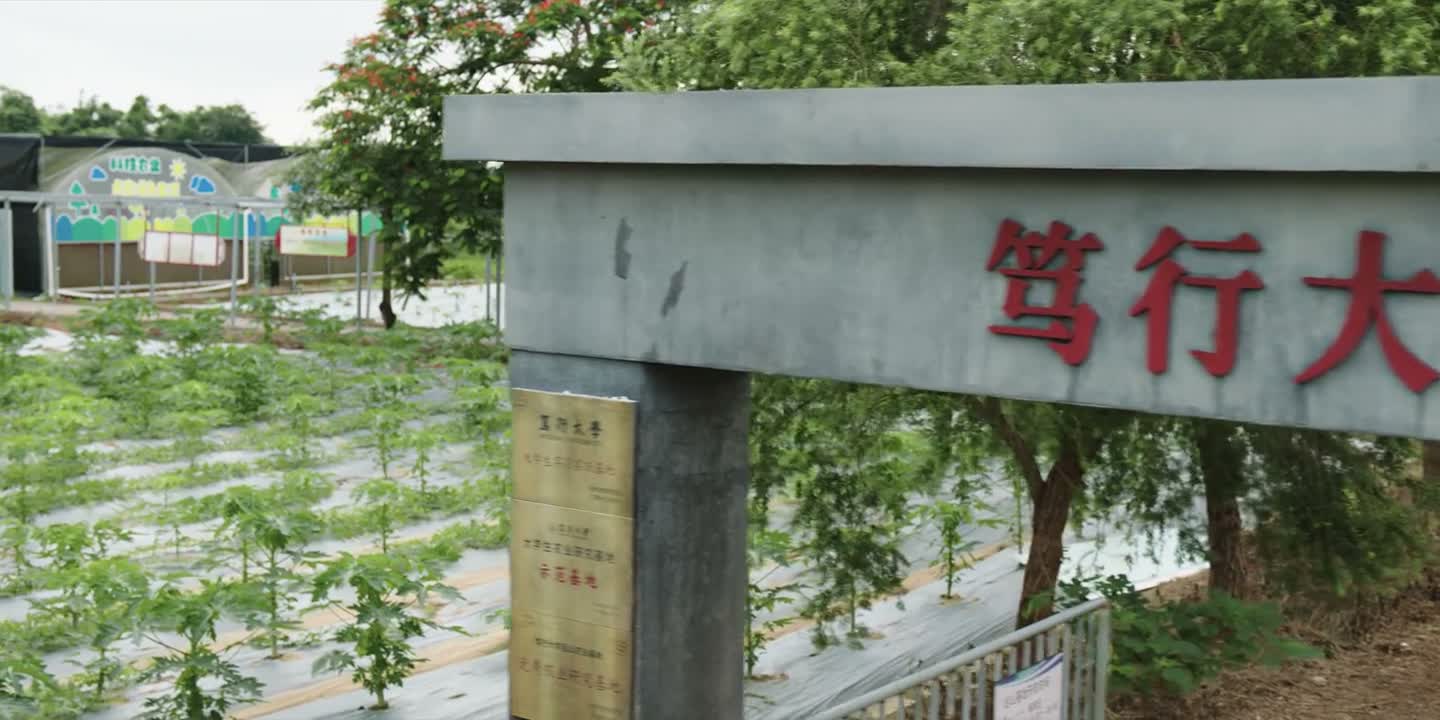 我好像真看见孔小灿了