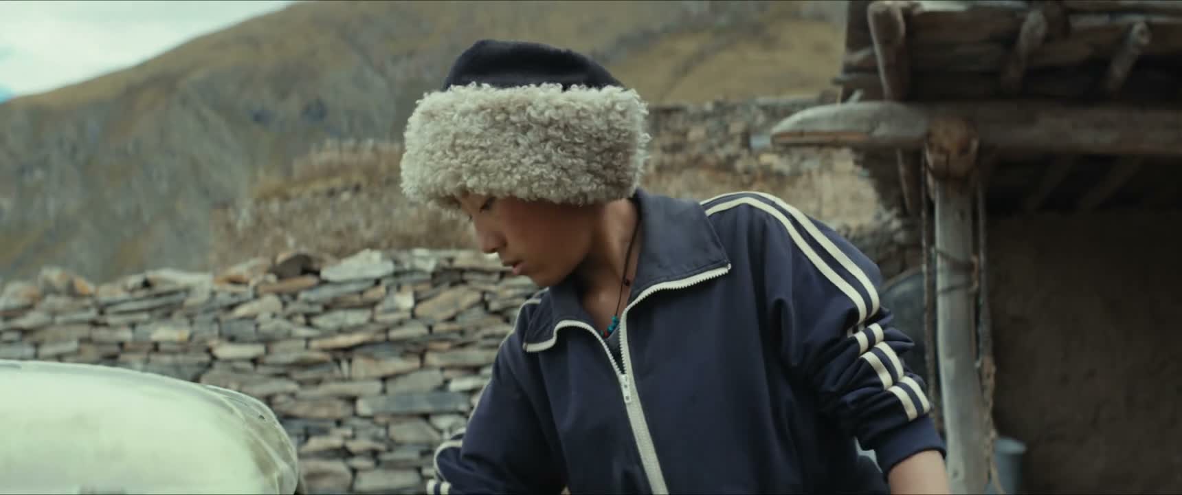 马有什么好稀奇的