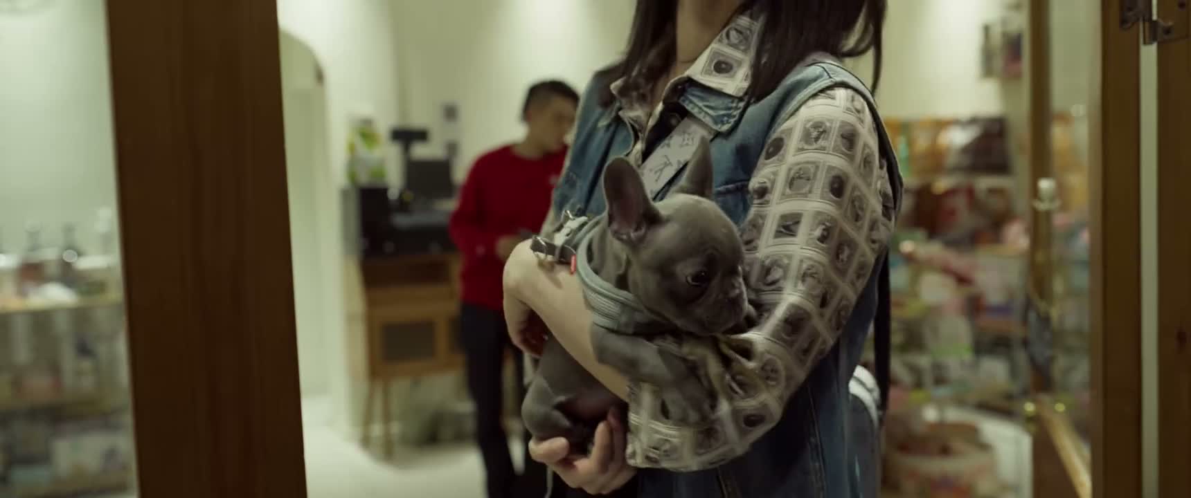 这款狗粮啊 最近卖得不错