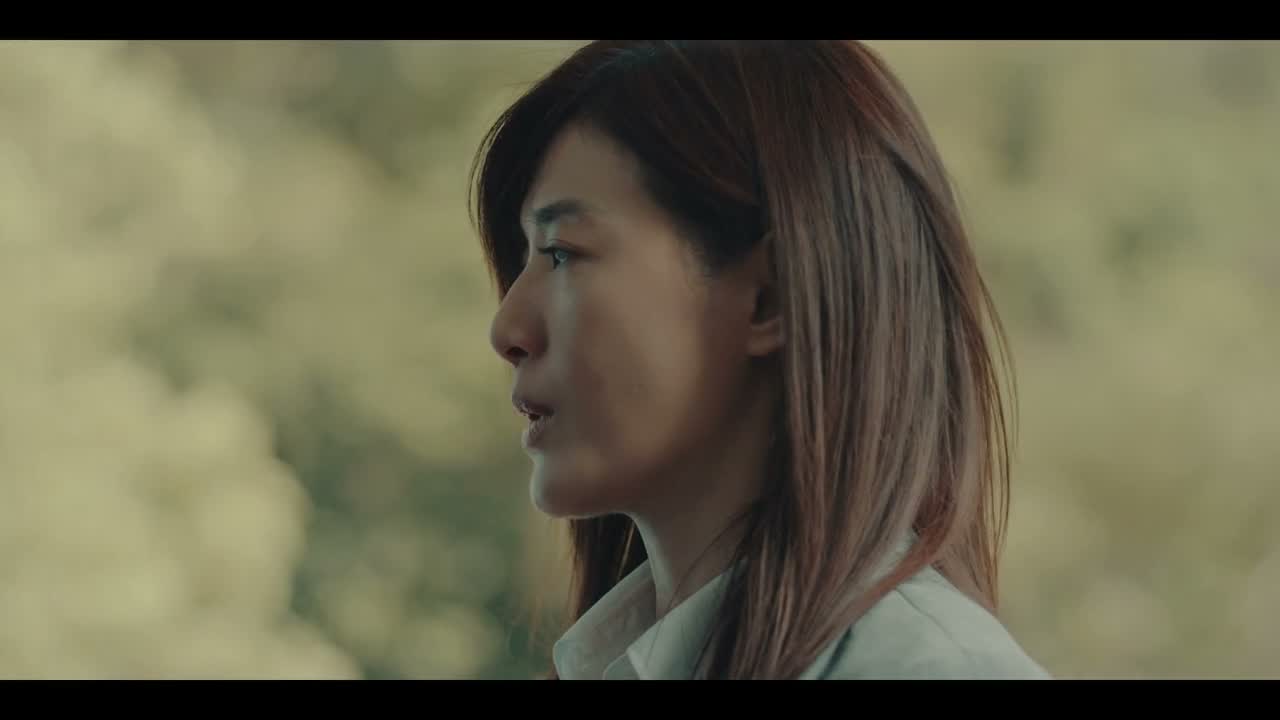 那个晚上根本不值得你去写一本书