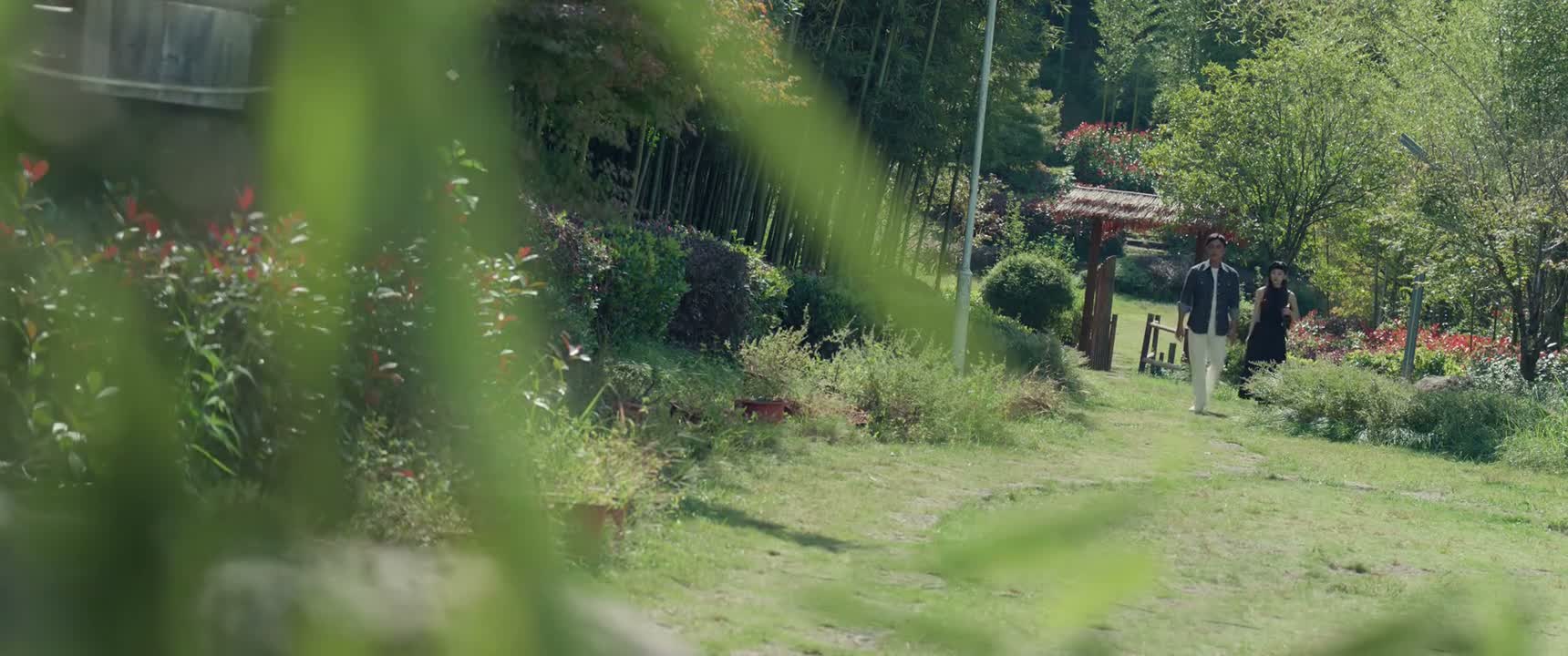 接近大自然 心情特别放松