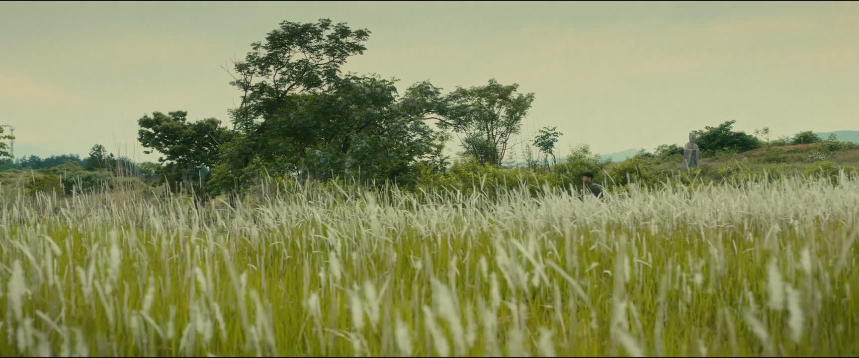 还我山河誓把倭奴灭